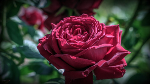 �1763355 �������(a): ����������:3840x2160